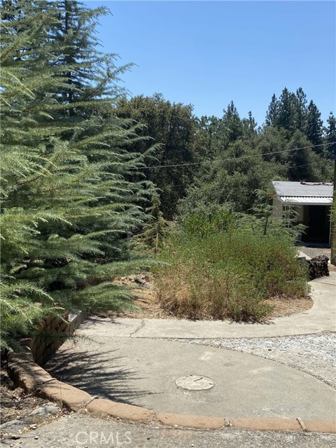 49832 Road 426, Oakhurst CA: https://media.crmls.org/medias/0d99bf23-ce9e-44a5-8f07-17c9e326b6cd.jpg