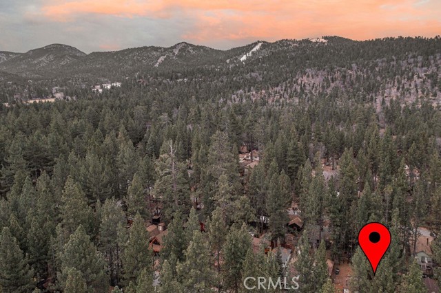 Detail Gallery Image 2 of 25 For 42637 La Placida, Big Bear Lake,  CA 92315 - 2 Beds | 1 Baths