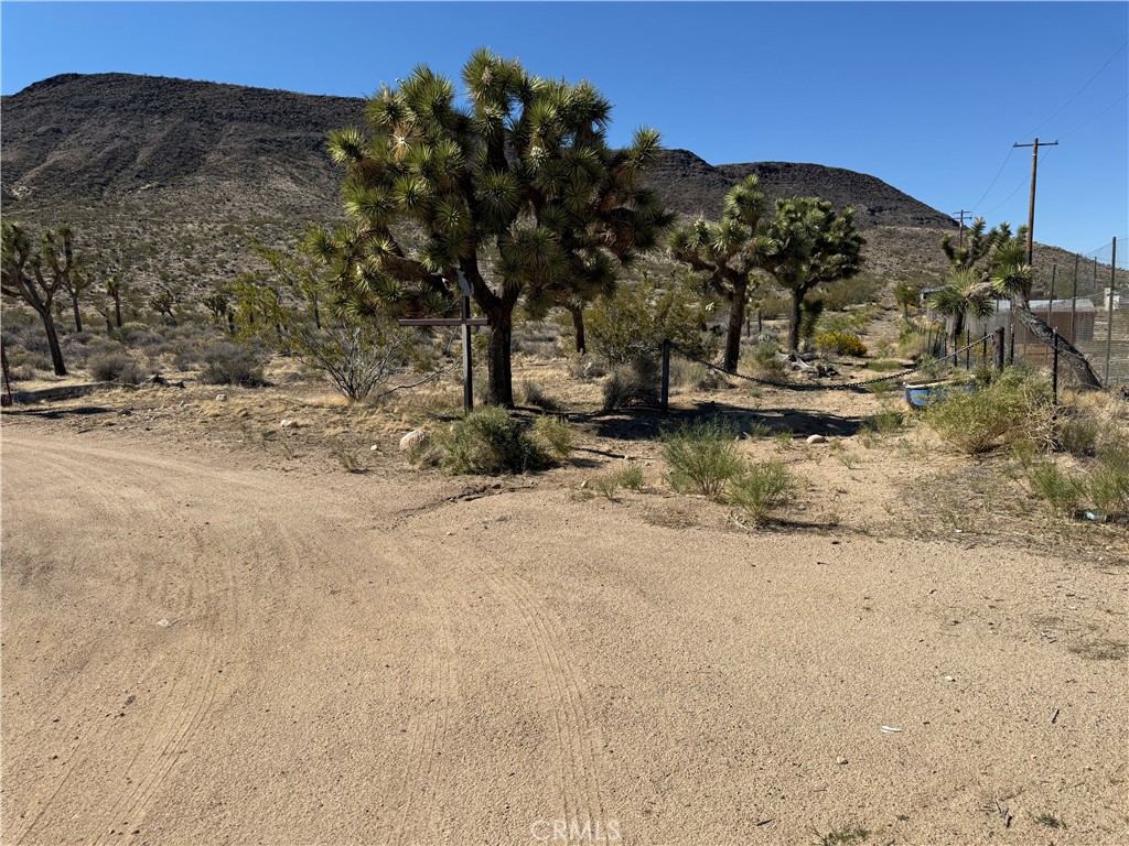 MLS #JT25103946 image #7