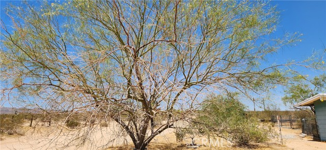 4675 Kickapoo Trail, Landers CA: https://media.crmls.org/medias/0d9f2d36-5b48-42ca-8b62-8e42131dab30.jpg