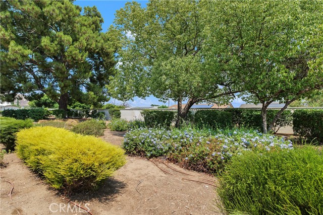 26168 Birkdale Road, Menifee CA: https://media.crmls.org/medias/0da51779-747f-4b14-b99c-d7d9a0847c0d.jpg