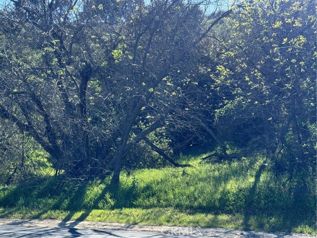 Detail Gallery Image 3 of 9 For 3300 N Topanga Canyon Blvd, Woodland Hills,  CA 91364 - – Beds | – Baths