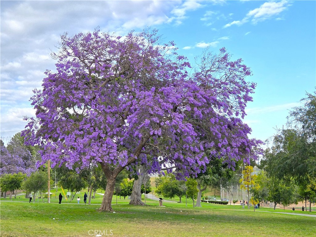 https://media.crmls.org/medias/0dab9789-c58f-4d8e-9fd8-10d08082a23b.jpg?preset=X-Large