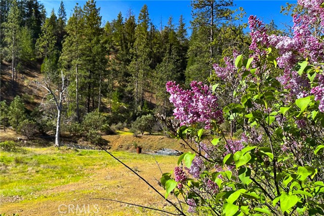 Front Image Thumbnail for CRIV26008164