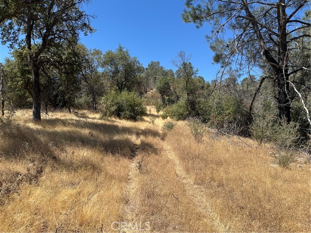 3896 B State Highway 140, Mariposa CA: https://media.crmls.org/medias/0dba78b5-7850-41dc-a21f-0f4cf317a5b6.jpg
