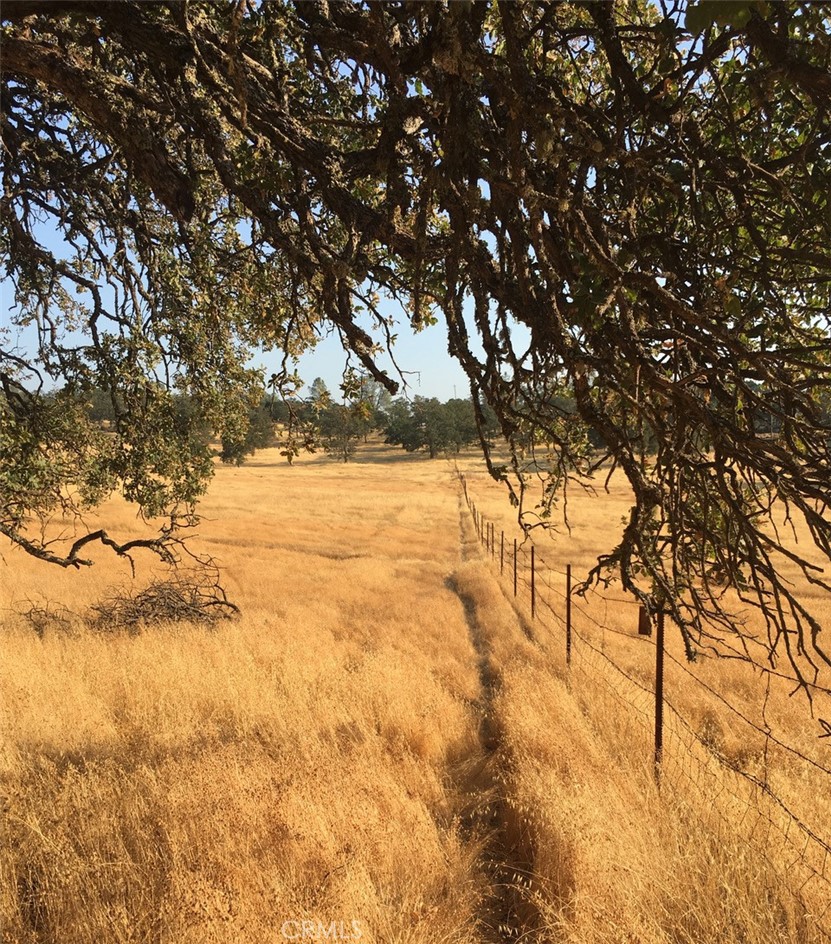 https://media.crmls.org/medias/0dbc732b-4b7a-42a9-931d-9a9e73862efe.jpg?preset=X-Large