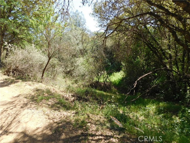 15773 39th Avenue, Clearlake, California 95422, ,Land,For Sale,15773 39th Avenue,CRLC23181535