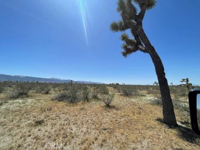 0 -Dos Palmas Rd., Pinon Hills, California 92372, ,Land,For Sale,0 -Dos Palmas Rd.,CREV23199555