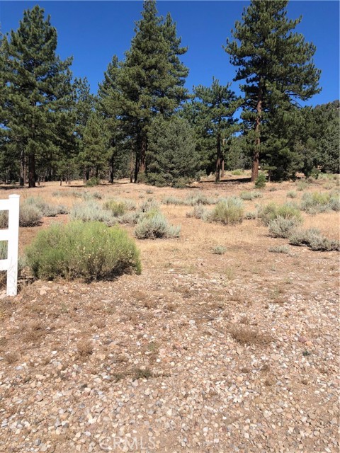 1137 Live Oak, Big Bear City, California 92314, ,Land,For Sale,1137 Live Oak,CROC24001592