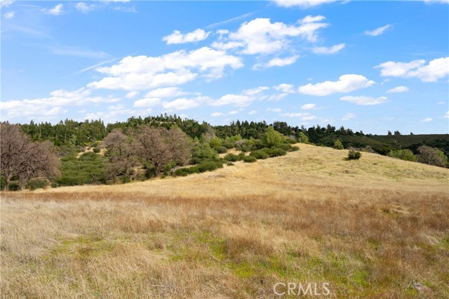 Detail Gallery Image 33 of 49 For 9000 Figueroa Mountain Rd, Los Olivos,  CA 93441 - 2 Beds | 1 Baths
