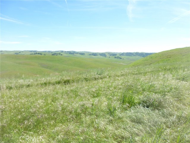 Detail Gallery Image 53 of 75 For 0 Douglas Rd. (Lots 28, 33 & 34), San Miguel,  CA 93451 - – Beds | – Baths