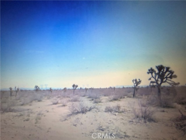 Front Image Thumbnail for CRPW26019386