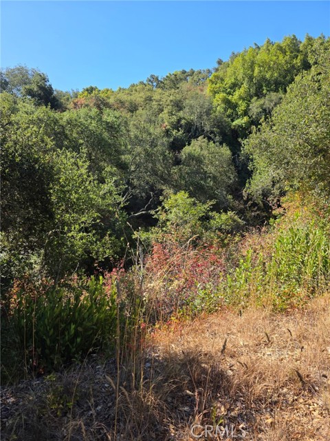 6205 Toro Creek Road, Atascadero CA: https://media.crmls.org/medias/0dd5f6cf-b0c1-4a3b-8668-1c236e424336.jpg