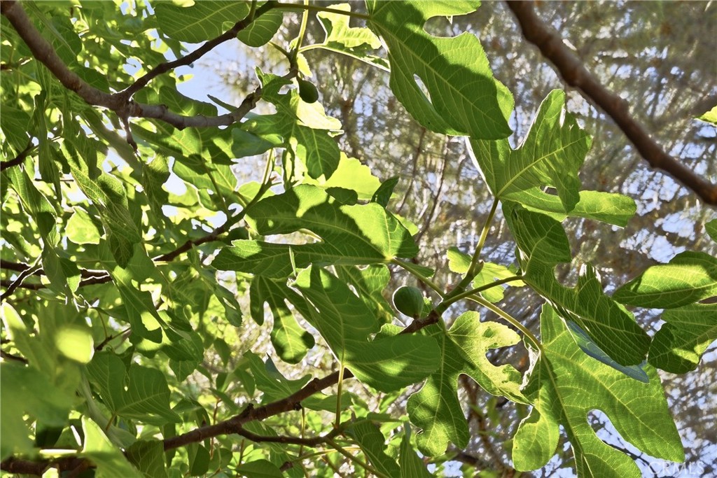 https://media.crmls.org/medias/0dd7b5a3-8159-4edd-b668-22cdf1469381.jpg?preset=X-Large