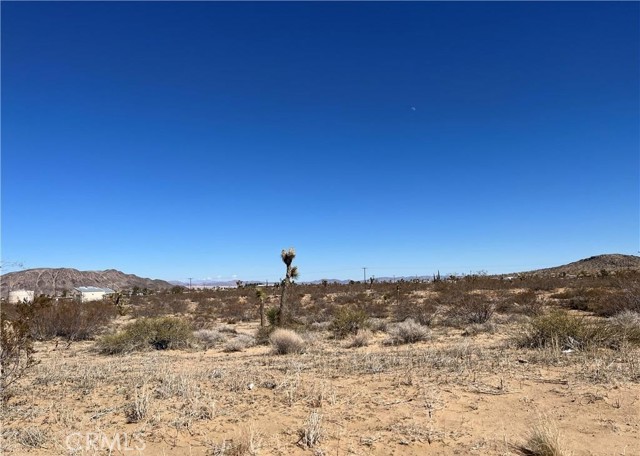 Detail Gallery Image 3 of 8 For 0 Balsa Ave, Landers,  CA 92285 - – Beds | – Baths