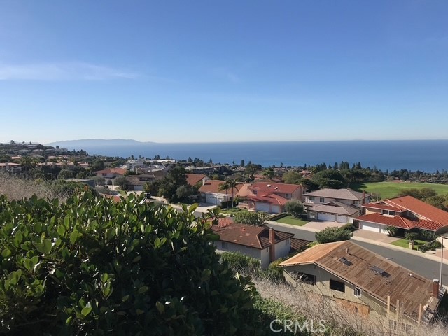 29221 Firthridge Road, Rancho Palos Verdes CA: https://media.crmls.org/medias/0ddcd762-1882-4a39-9fba-5c80c796c5d7.jpg