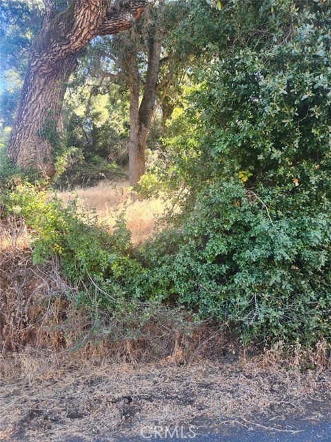 Detail Gallery Image 2 of 2 For 4010 Foothill, Lucerne,  CA 95458 - – Beds | – Baths