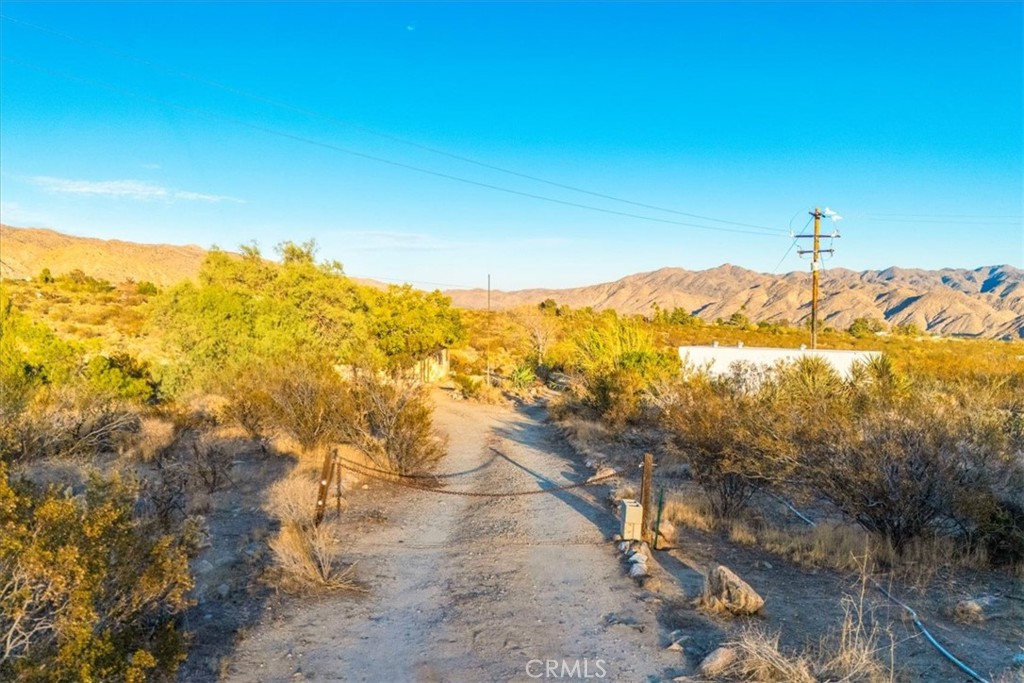 MLS #JT25260931 image #45