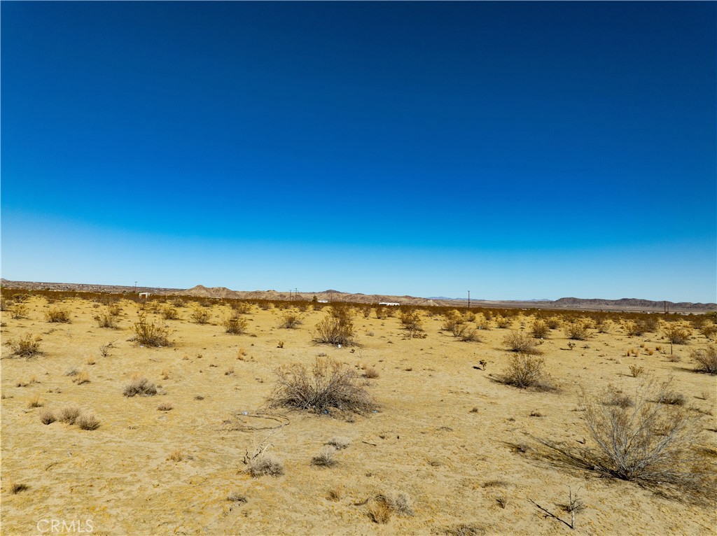 MLS #JT25236407 image #14