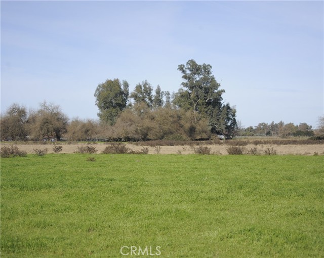 Detail Gallery Image 12 of 66 For 6156 County Road 14, Orland,  CA 95963 - 2 Beds | 1 Baths