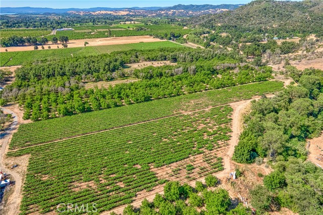 Detail Gallery Image 66 of 69 For 10905 Elk Mountain Rd, Upper Lake,  CA 95485 - 3 Beds | 2 Baths