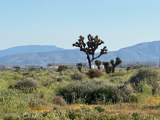 0 Vac/Vic Avenue L4/33rd Ste, Palmdale, California 93552, ,Land,For Sale,0 Vac/Vic Avenue L4/33rd Ste,CRSR24058595