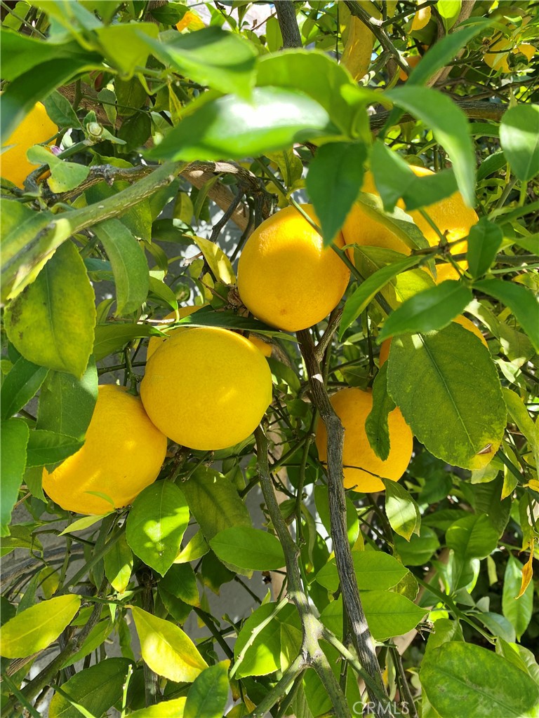 https://media.crmls.org/medias/0df2b673-180b-4796-81e4-2110c0494f45.jpg?preset=X-Large