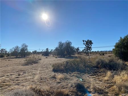 57031 Buena Vista Drive, Yucca Valley, California 92284, ,Land,For Sale,57031 Buena Vista Drive,CRJT23214315