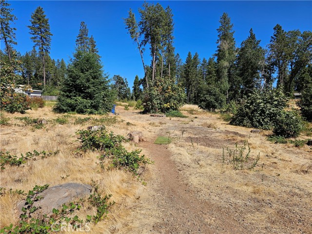 1533 Forest Service Rd, Paradise CA: https://media.crmls.org/medias/0dfef532-c49c-42ab-9137-4737826635be.jpg