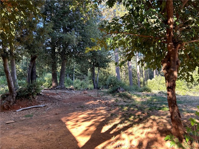 16116 Lovelock Road, Magalia CA: https://media.crmls.org/medias/0e00add3-6156-4494-8fd7-bef6c3f05a14.jpg