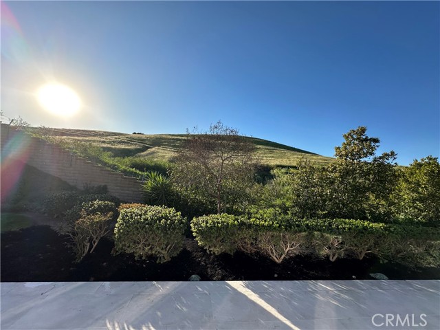 Image 7 of 67 For 5315 Cantante