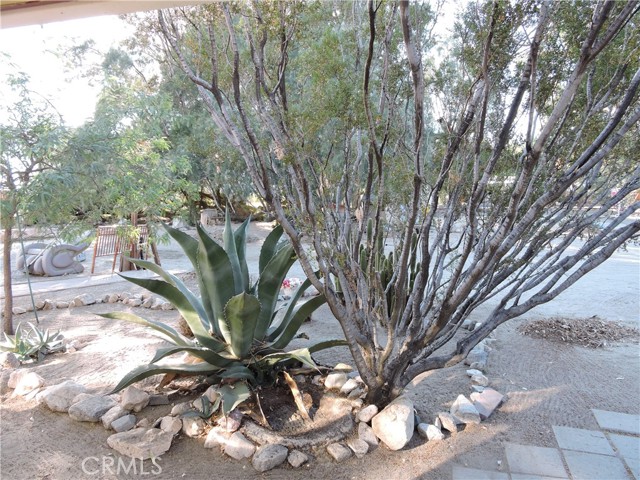Detail Gallery Image 8 of 46 For 10091 Fobes Rd, Morongo Valley,  CA 92256 - 2 Beds | 2 Baths