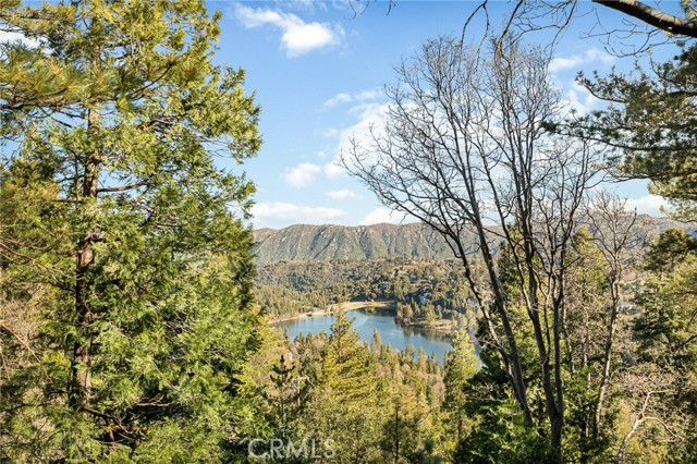 Front Image Thumbnail for CRIG26058353