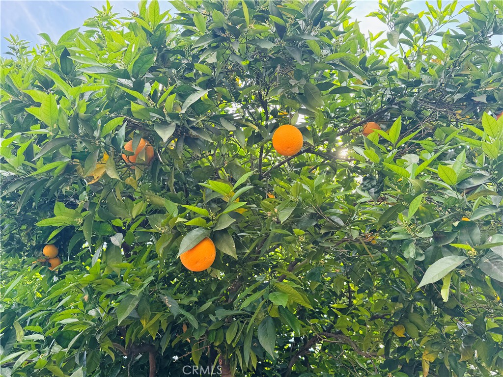 https://media.crmls.org/medias/0e230d5f-595f-4402-b07c-bc58f3ddd776.jpg?preset=X-Large
