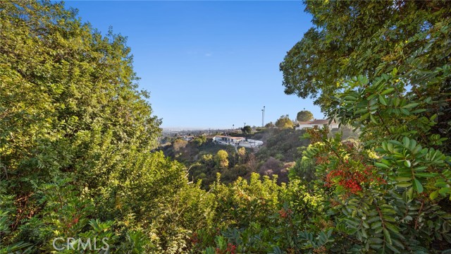 Detail Gallery Image 53 of 66 For 68 Rockinghorse Rd, Rancho Palos Verdes,  CA 90275 - 5 Beds | 3/1 Baths