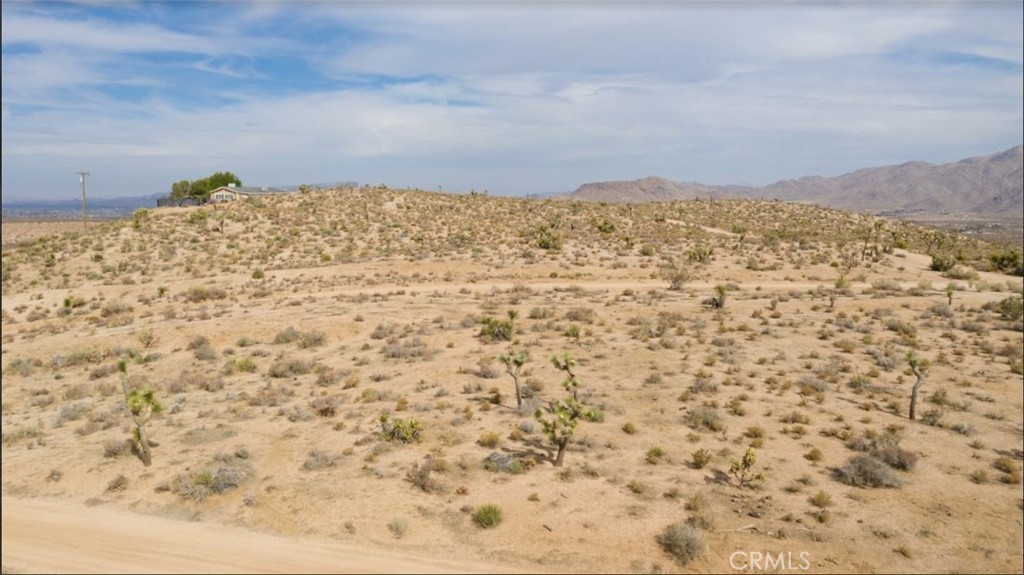 Image 15