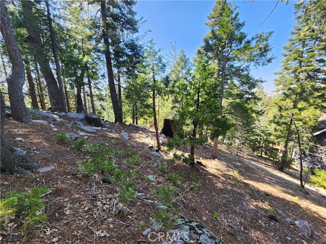 Detail Gallery Image 15 of 20 For 0 Pyramid Dr, Lake Arrowhead,  CA 92352 - – Beds | – Baths