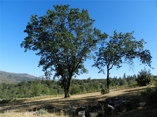 Detail Gallery Image 58 of 65 For 35616 Willow Canyon Dr, North Fork,  CA 93643 - 4 Beds | 3 Baths