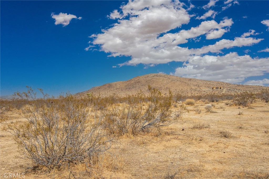 MLS #JT25183388 image #9