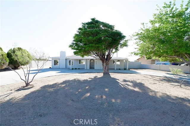 Front Image Thumbnail for CRIV26080457