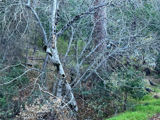 Detail Gallery Image 2 of 3 For 0 Snowy Creek Way, Coarsegold,  CA 93614 - – Beds | – Baths