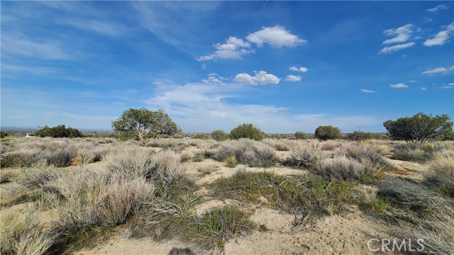 Front Image Thumbnail for CRSR26011350