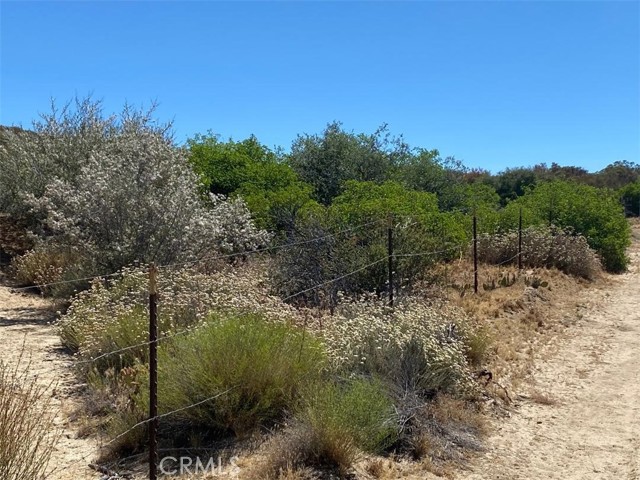 Detail Gallery Image 8 of 28 For 63151 Table Mountain Truck, Anza,  CA 92561 - – Beds | – Baths