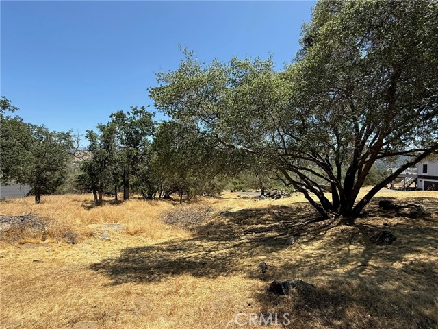 1 Wild Horse Way, Coarsegold CA: https://media.crmls.org/medias/0e51f06a-ad85-49b0-9fd2-dc06f8b4f2a1.jpg