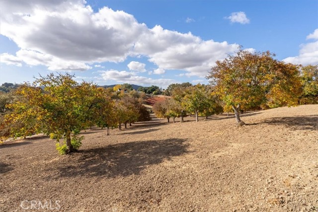 Detail Gallery Image 42 of 51 For 4350 Vineyard Dr, Paso Robles,  CA 93446 - 4 Beds | 3/1 Baths