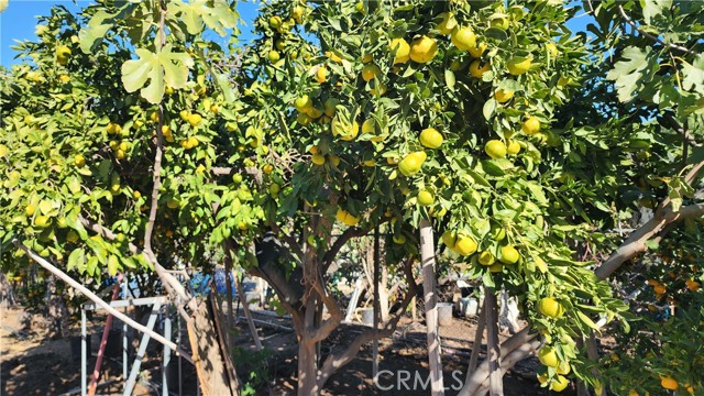 Detail Gallery Image 48 of 60 For 23729 Citrus Ave, Perris,  CA 92570 - 4 Beds | 3 Baths