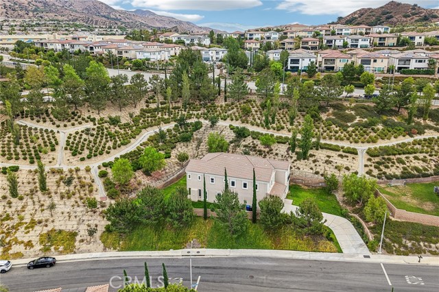11978 Ricasoli Way photo 47