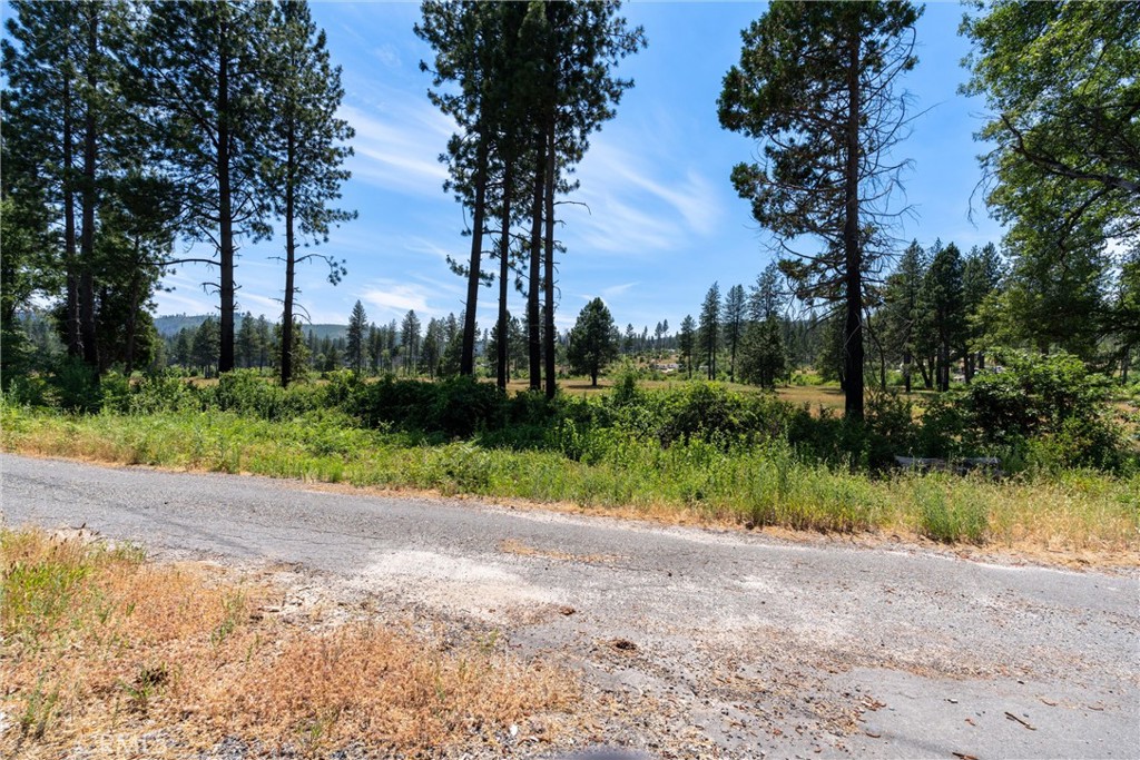 MLS #SN25260902 image #13