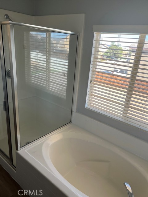 Master Tub