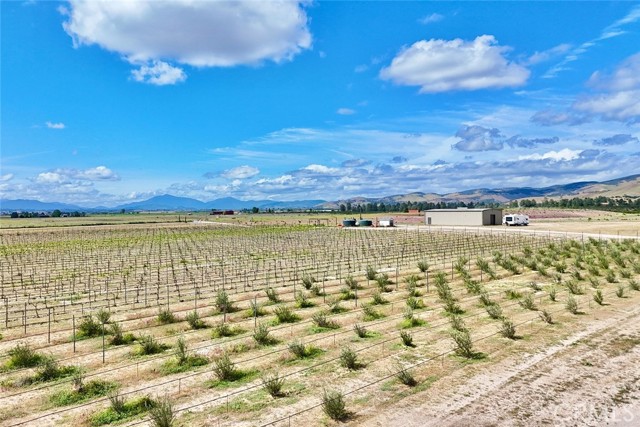 50645 Lockwood Road, Lockwood CA: https://media.crmls.org/medias/0e71126d-633d-4bb4-9023-2a4333ebd0a8.jpg